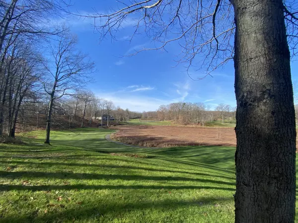 Canadian Lakes, MI 49346,8975 Whispering LN #234-235