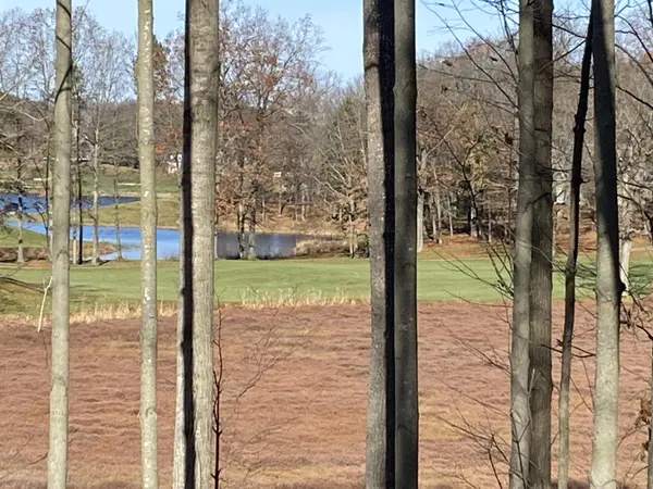 Canadian Lakes, MI 49346,8975 Whispering LN #234-235