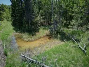 11253 Clinton Creek RD, Posen, MI 49776