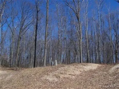 Canadian Lakes, MI 49346,9284 Briarstone DR #27