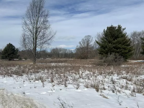 Canadian Lakes, MI 49346,11548 Oak Ridge DR ##792