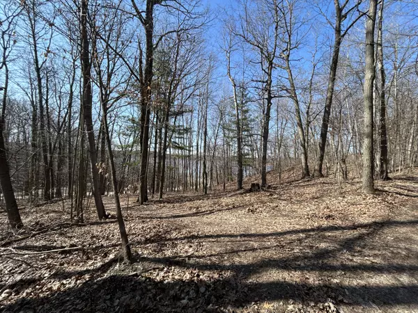 Six Lakes, MI 48886,Hill View DR