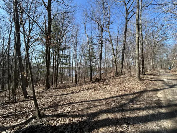 Six Lakes, MI 48886,Hill View DR