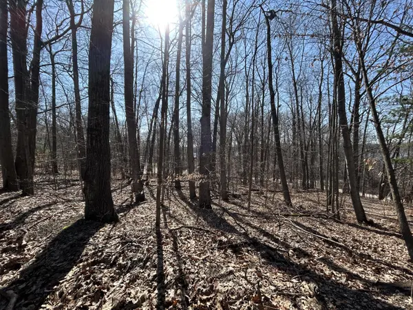 Six Lakes, MI 48886,Hill View DR