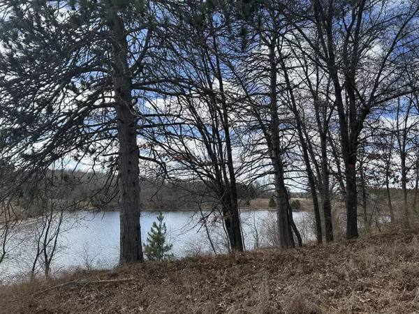 Canadian Lakes, MI 49346,12305 Summerhill DR ##9