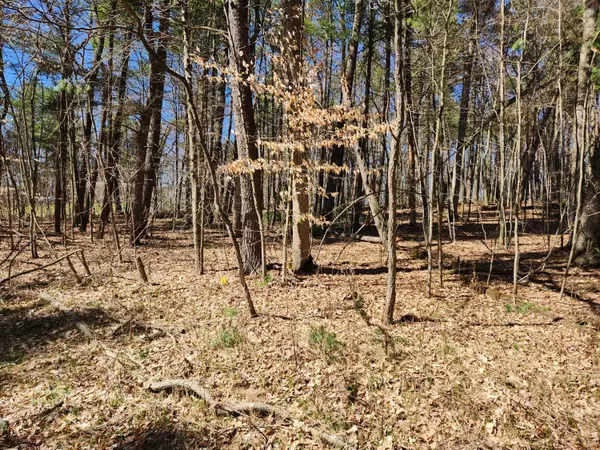 Newaygo, MI 49337,6165 E 92nd ST