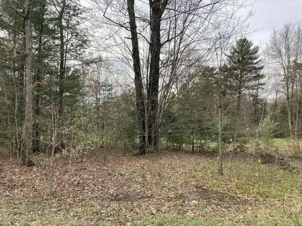 Big Rapids, MI 49307,V/L 192nd AVE