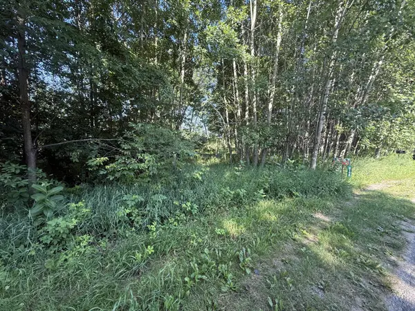 Stanwood, MI 49346,TBD W Royal RD