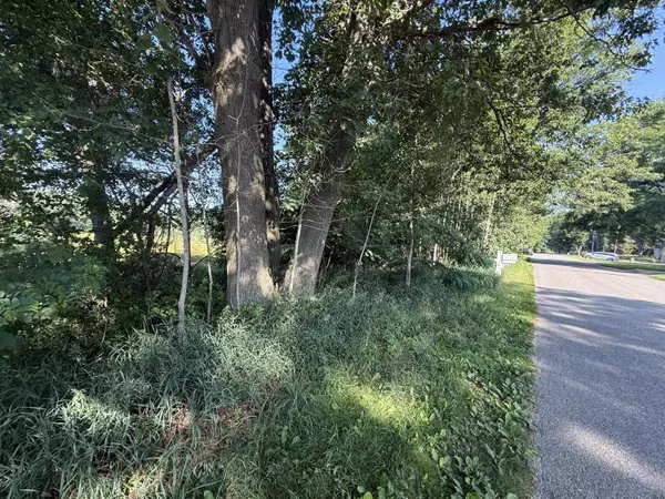 Stanwood, MI 49346,TBD W Royal RD #2