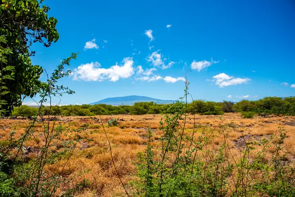 Kamuela, HI 96743,69-1931 PUAKO BEACH DR