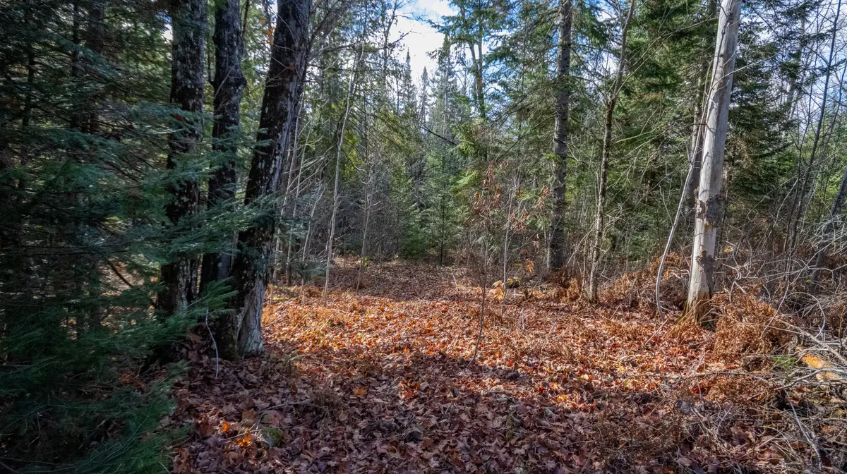 Madawaska Valley, ON K0J 1B0,00 Highway 60 HWY