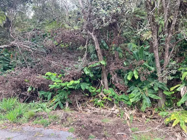 Volcano, HI 96785,19-3950 HOONANEA ST