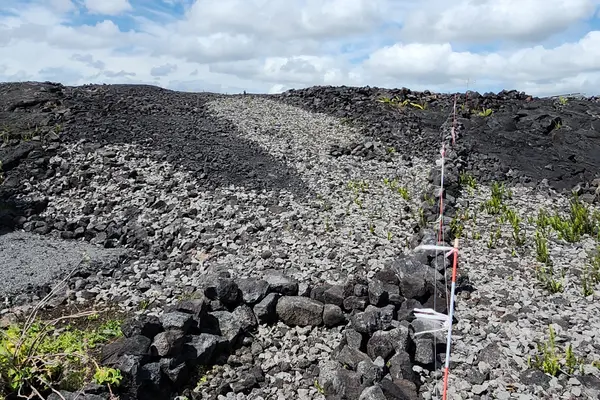 12-5356 OHANA RD, Pahoa, HI 96778