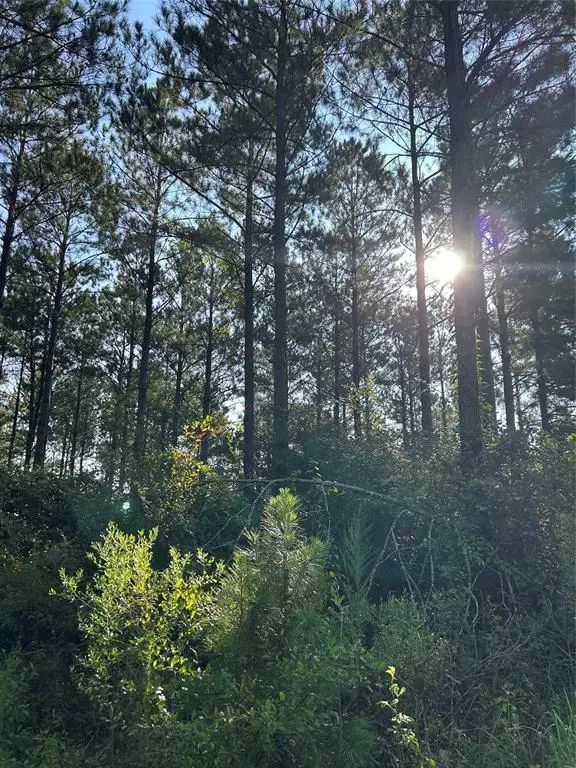 Cotton Valley, LA 71018,000 Dorcheat Road