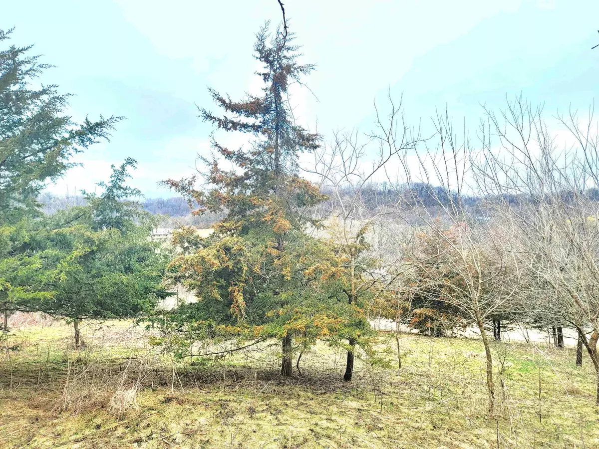 Galena, IL 61036,11 Sugarcreek Trail