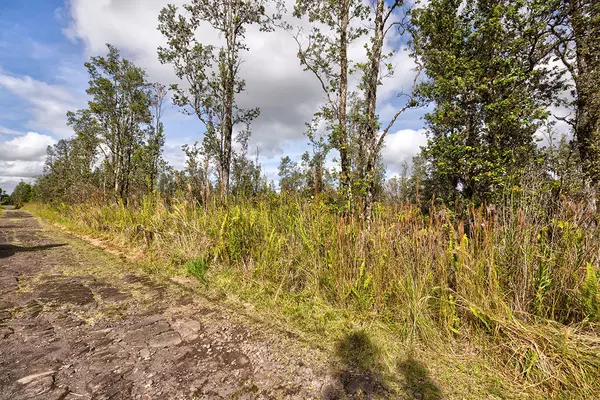 Mountain View, HI 96760,ROAD 4 (IO KEA)