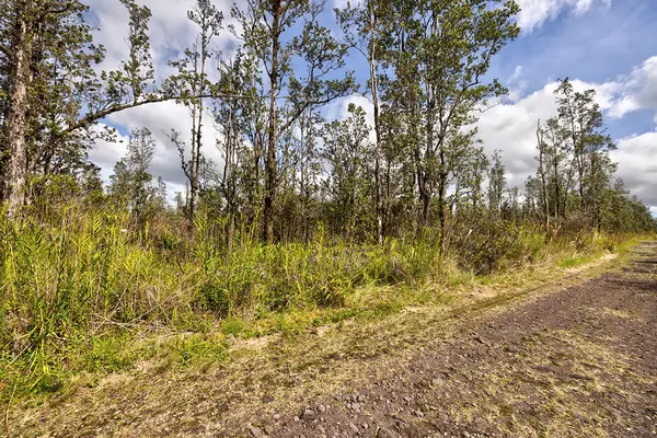 Mountain View, HI 96760,ROAD 4 (IO KEA)