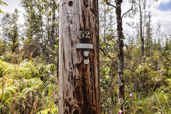 Mountain View, HI 96760,ROAD 4 (IO KEA)