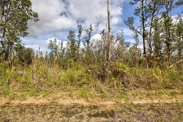 Mountain View, HI 96760,ROAD 4 (IO KEA)