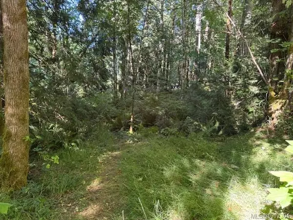 Duncan, BC V9L 6S7,Lot 3 Johns Rd