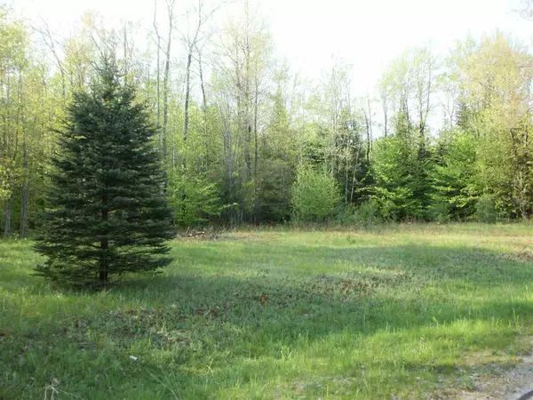 Cadillac, MI 49601,Lot 11 Spring Valley DR