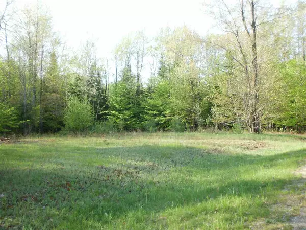 Cadillac, MI 49601,Lot 11 Spring Valley DR