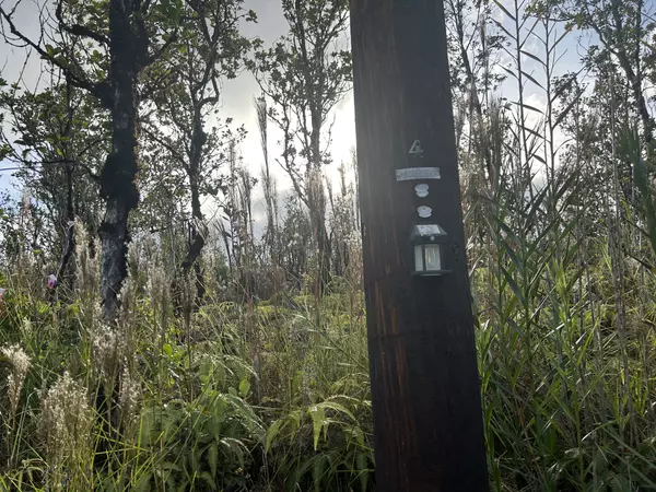 Volcano, HI 96785,MAILENANI RD