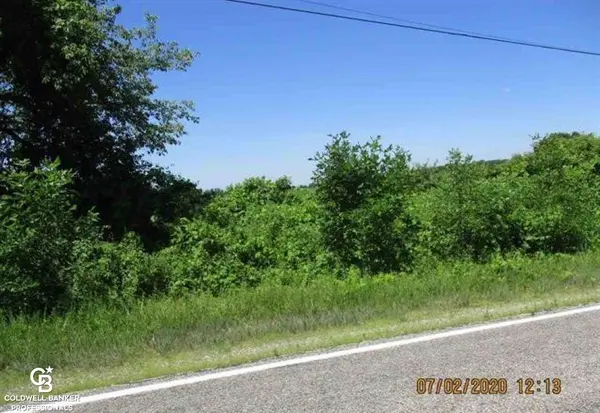 Riley, MI 48041,00 Belle River Lot R RD