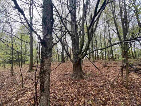 Beulah, MI 49617,F Marshall RD