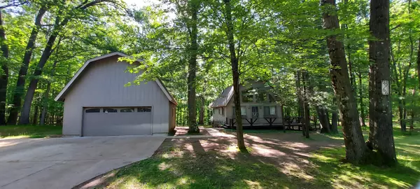 Canadian Lakes, MI 49346,9966 Rising Star LN