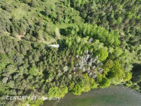 Beaverton, MI 48612,W Lang RD