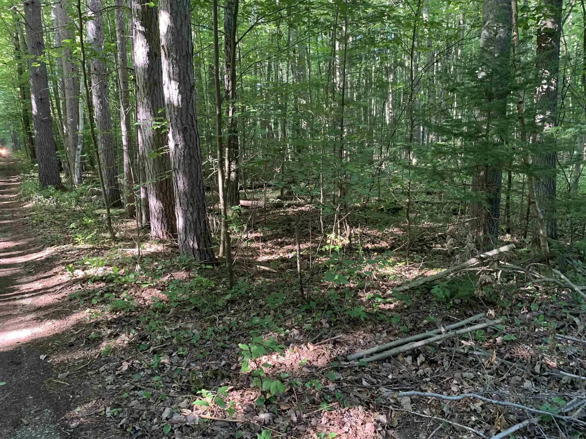 Lake City, MI 49651,00 S Taxiway King