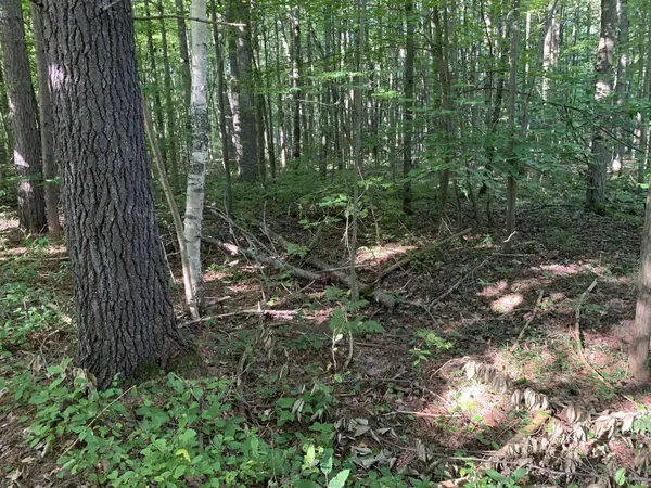 Lake City, MI 49651,00 S Taxiway King