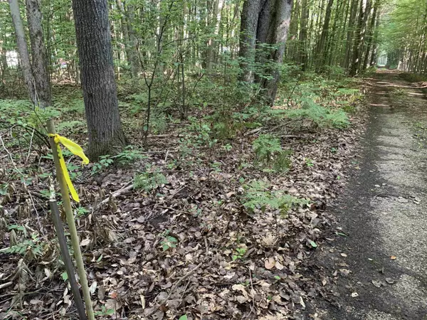 Lake City, MI 49651,00 S Taxiway King