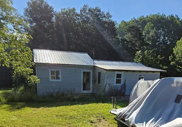 5200 Half Moon TRL, Surrey Twp, MI 48632