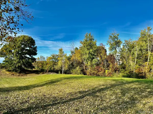 Metamora, MI 48455,1398 Masters DR