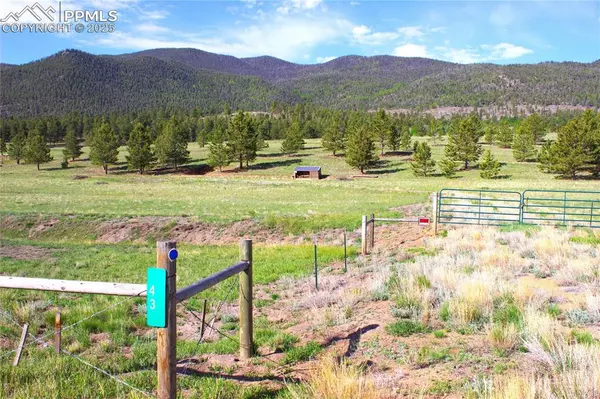 Lake George, CO 80827,43 Stoll CIR