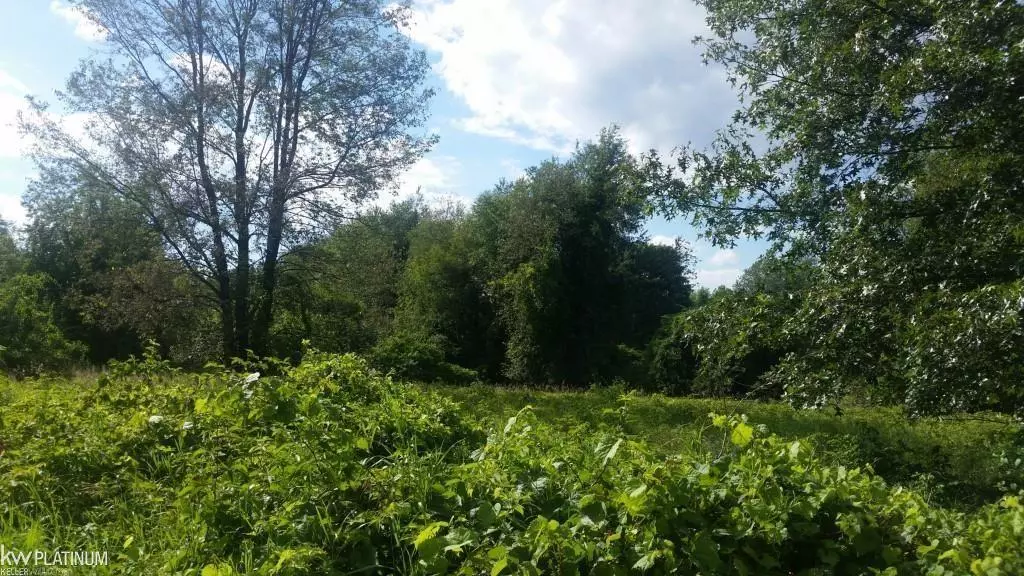 Oxford, MI 48371,0 Victoria CT