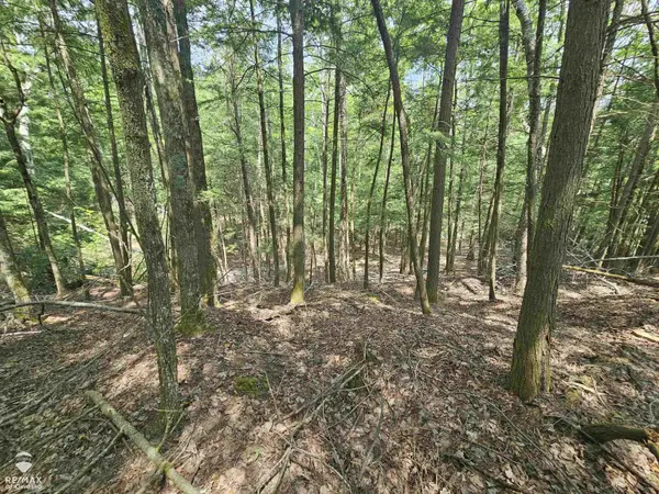 Millersburg, MI 49759,Spile Dam RD