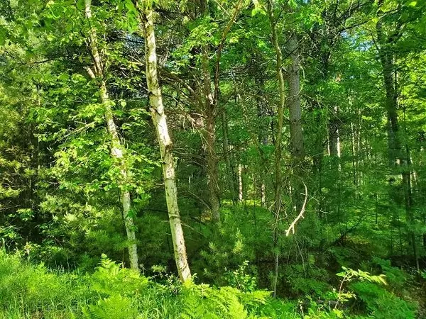 Alger, MI 48610,0 Hillside DR