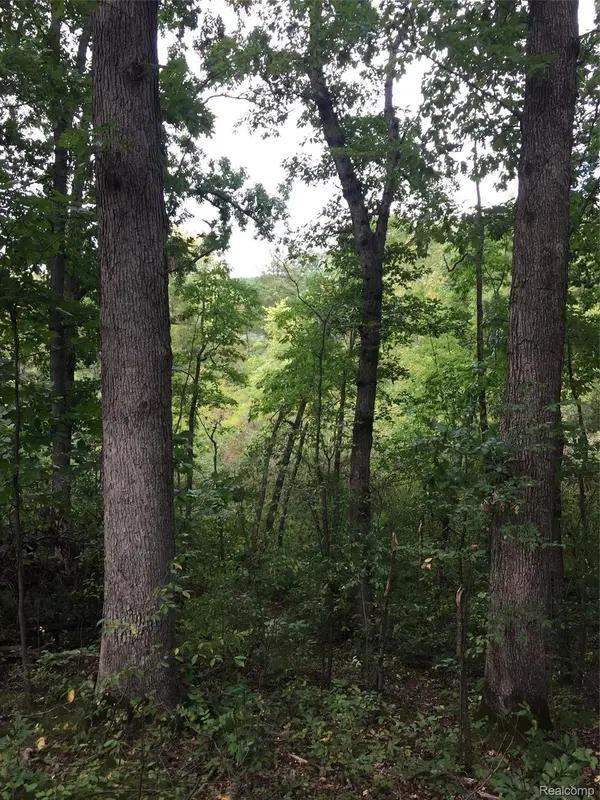 Pinckney, MI 48169,00_Whitewood_Vacant Whitewood RD N