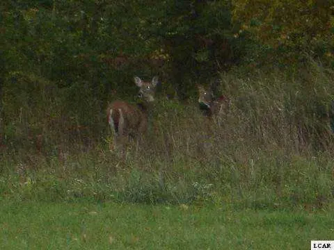 Adrian, MI 49221,1018 SAW MILL CT