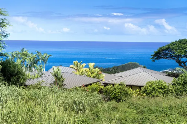 Kealakekua, HI 96750,81-6624 HIAAIONO PL