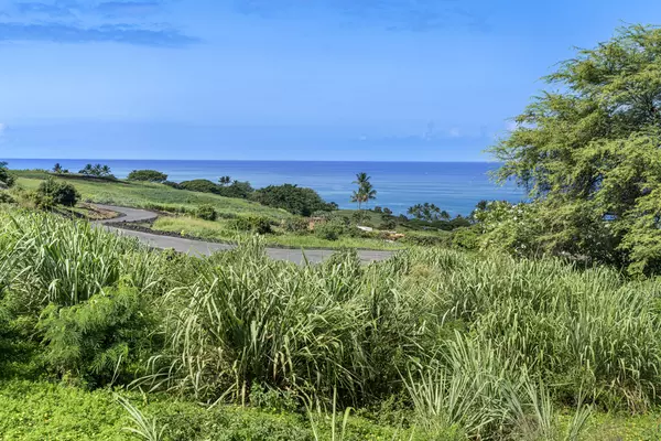 Kealakekua, HI 96750,81-6624 HIAAIONO PL