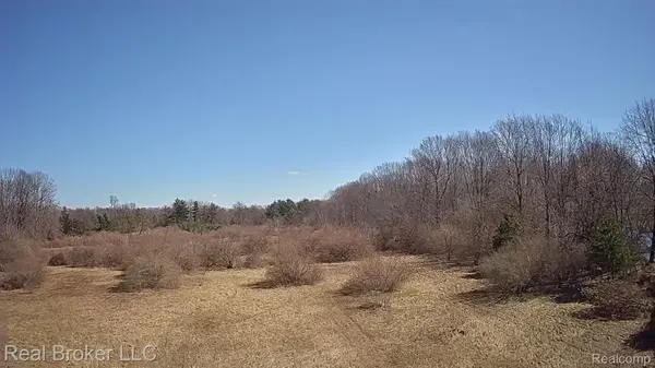 Capac, MI 48014,0 HACKMAN RD