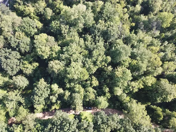 Brooklyn, MI 49230,0 IDLE HILLS DR