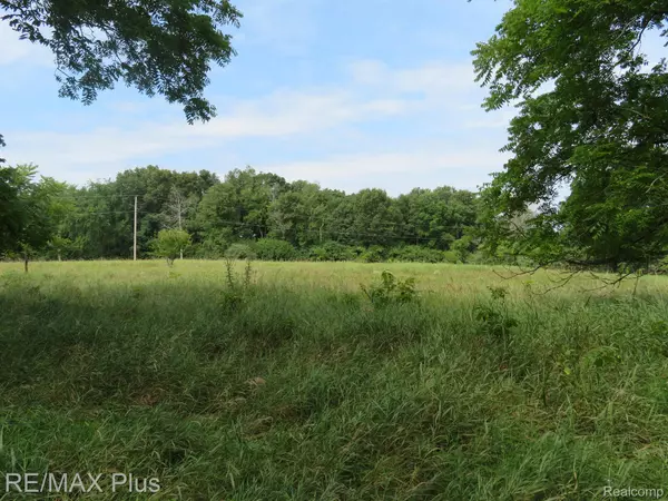 Metamora, MI 48455,0000 METAMORA RD