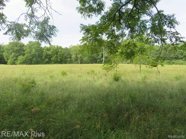 Metamora, MI 48455,0000 METAMORA RD