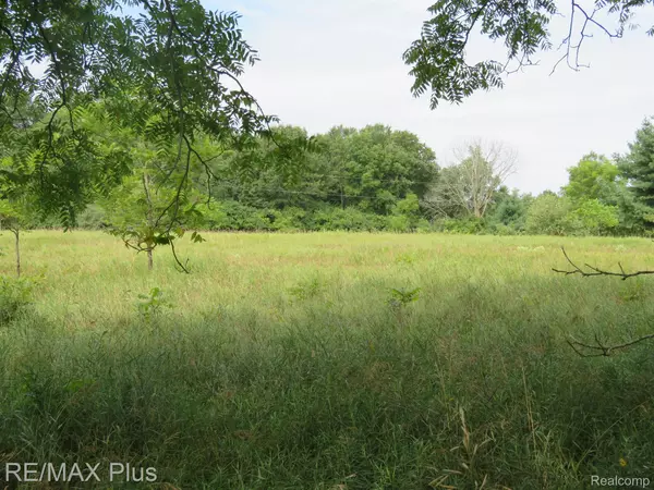 Metamora, MI 48455,0000 METAMORA RD