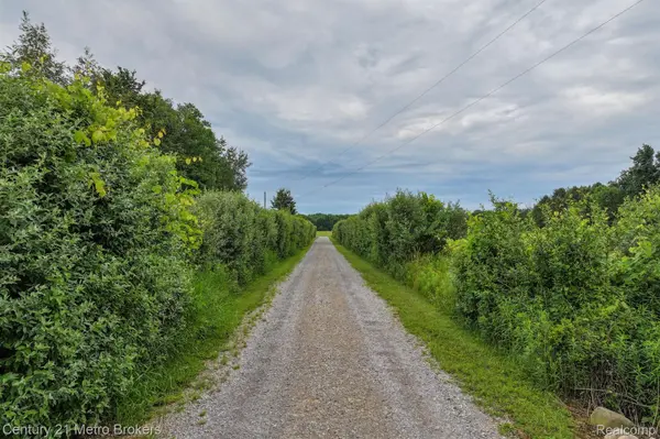 Deford, MI 48729,1585 S PHILLIPS RD